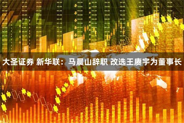 大圣证券 新华联：马晨山辞职 改选王赓宇为董事长