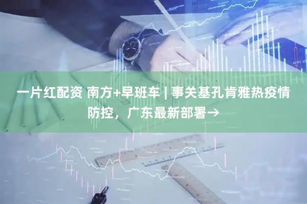 一片红配资 南方+早班车 | 事关基孔肯雅热疫情防控，广东最新部署→