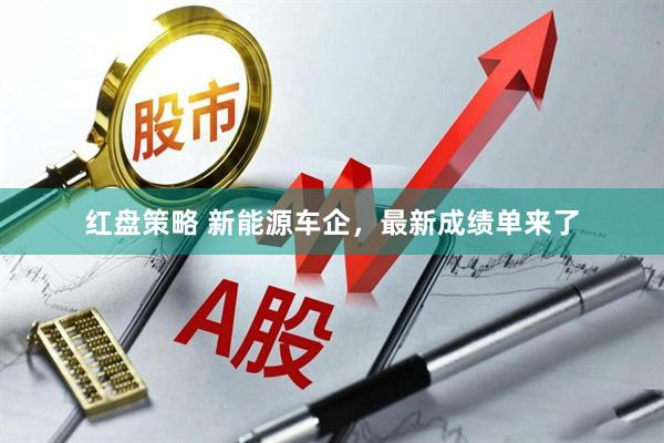 红盘策略 新能源车企，最新成绩单来了
