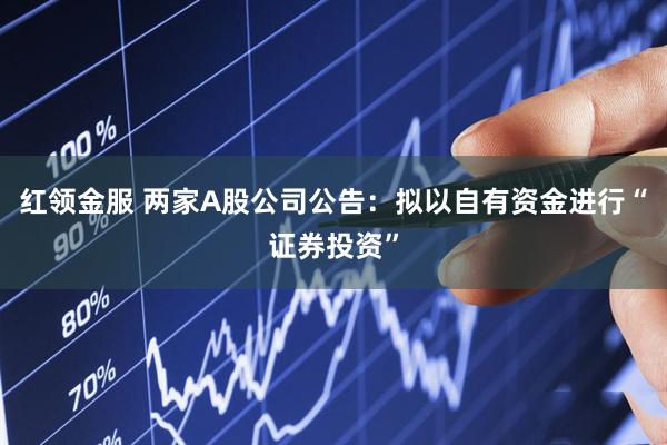 红领金服 两家A股公司公告：拟以自有资金进行“证券投资”