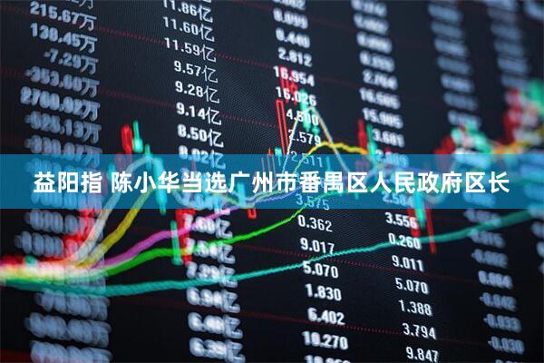 益阳指 陈小华当选广州市番禺区人民政府区长