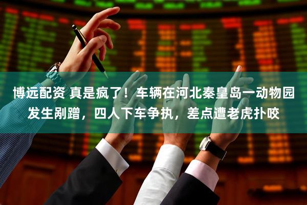 博远配资 真是疯了！车辆在河北秦皇岛一动物园发生剐蹭，四人下车争执，差点遭老虎扑咬