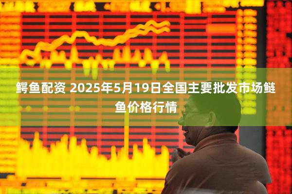 鳄鱼配资 2025年5月19日全国主要批发市场鲢鱼价格行情