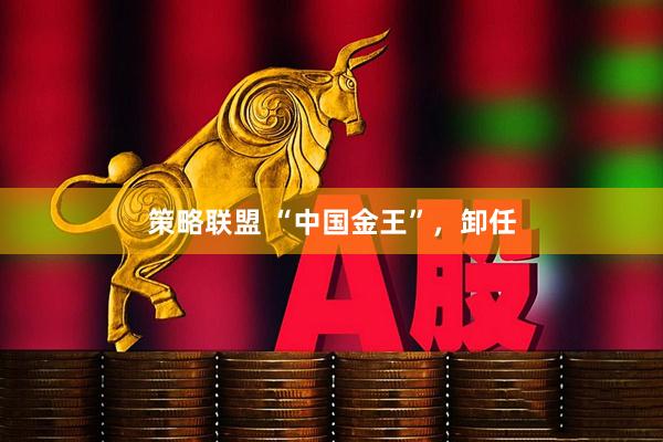 策略联盟 “中国金王”,卸任